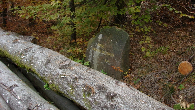 Ritterstein Nr. 242-4a Ruine Badisch Jagdhaus.JPG - Ritterstein Nr.242 Ruine Badisch Jagdhaus (Muss das sein)